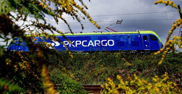 Fakty o sytuacji Spółki PKP CARGO S.A.