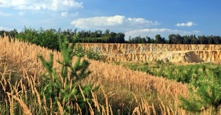 Quarry Life Award 2016 coraz bliżej finału