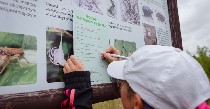 Gra terenowa w Kamieniołomie Lipówka